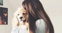 Istina ili laž: Vole li nas psi bezuvjetno?