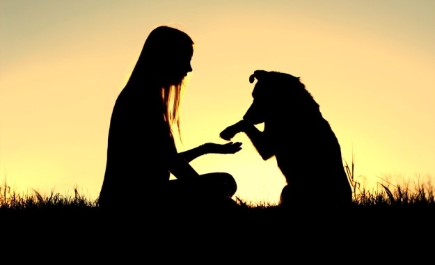 Pronađeni biokemijski dokazi ljubavi između čovjeka i psa