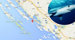 Između Murtera i Pašmana uhvaćen morski pas od četiri metra