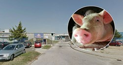 Kooperant prevario mesnu industriju iz Čakovca, nestao sa 723 svinje