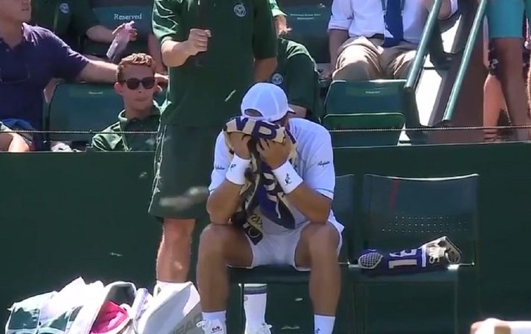 MRAVI, U NAPAD! Nitko ne želi kišu, ali vrućina je kriva za invaziju kukaca na Wimbledon