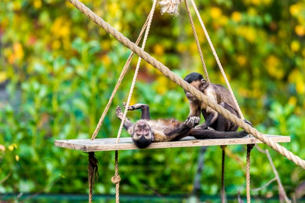 VELIKA FOTOREPORTAŽA Nama je u zagrebačkom ZOO-u bilo super, evo zašto ga morate posjetiti i vi
