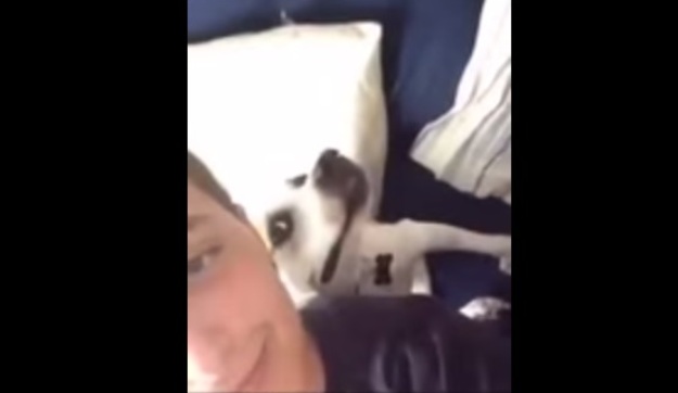 Ovako izgleda kada pas želi snimiti selfie s vlasnikom