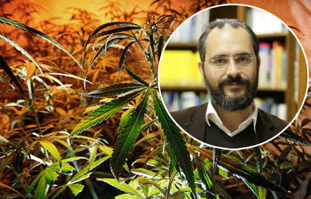 Dr. Brborović otkriva sve o legalizaciji marihuane u Hrvatskoj: Nema dileme, ona je i droga i lijek
