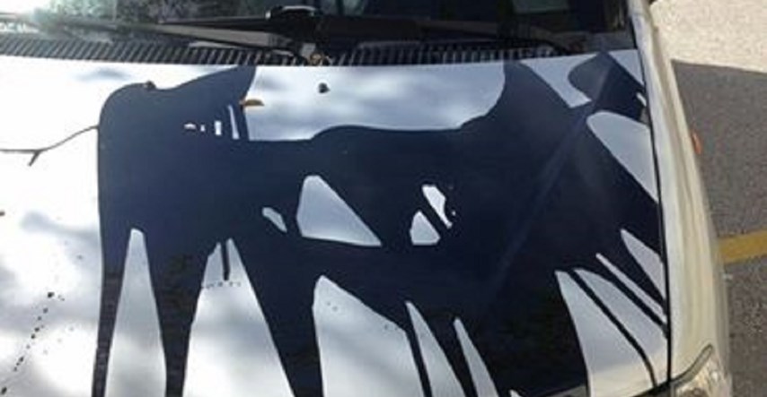 FOTO Makarskoj novinarki zalili automobil crnom bojom, razrezali joj i gume