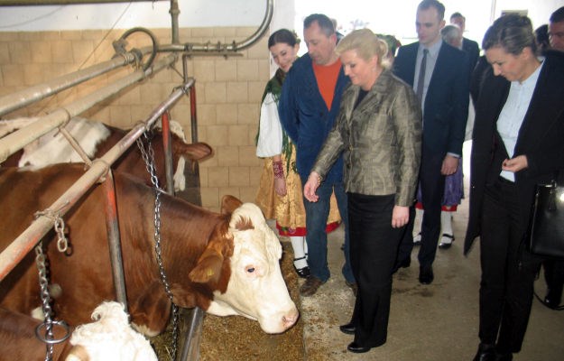 Kolinda posjetila farmu, ali nije pomuzla kravu