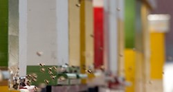 EU zabranjuje sporne pesticide koji ozbiljno štete pčelama
