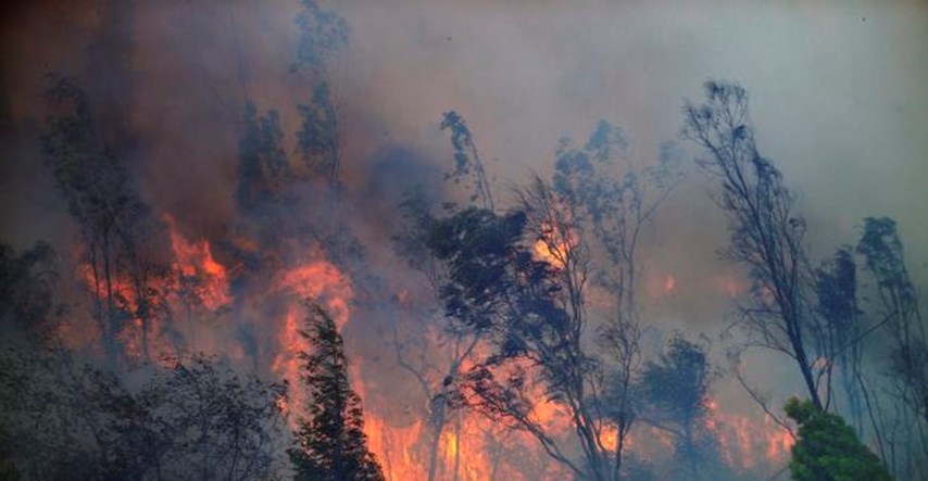 Šumski požari u Kanadi zatvorili naftno postrojenje, dio evakuiranih stanovnika vratio se kućama
