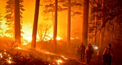 Izbila dva požara u parku prirode Hutovo blato kod Čapljine, sumnja se da su podmetnuti
