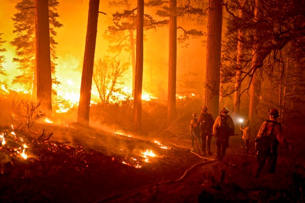 Požar kod Tučepa pod nadzorom, izgorjelo 50 hektara borove šume