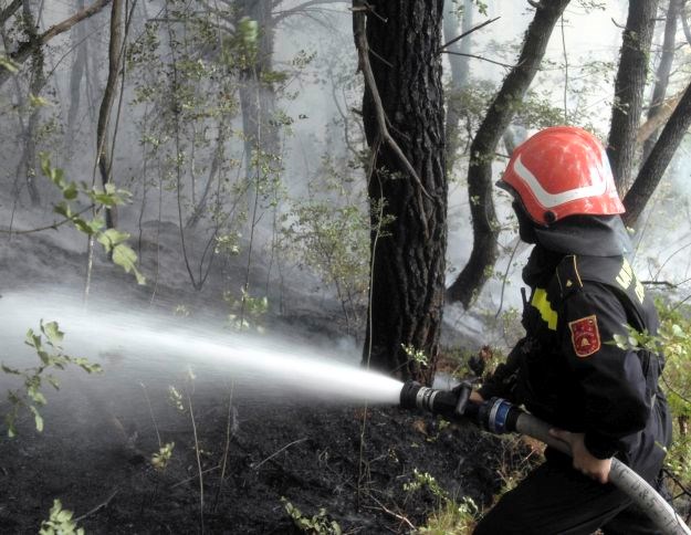 Više požara na Silvestrovo na području Hercegovine, gorjelo i Hutovo blato