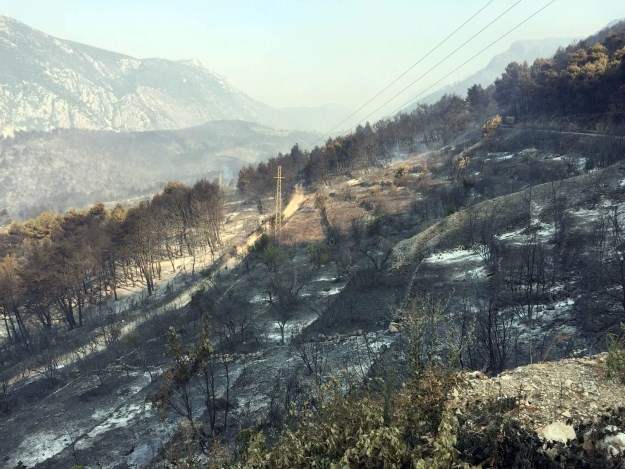 Proći će godine prije no što se opet zazeleni: Pelješcu prijete erozije, poplave i vjetar