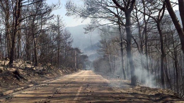 Tko je kriv za požare na Pelješcu i Korčuli?