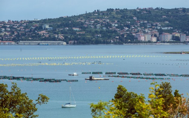 Slovenci ribarima u Savudriji poslali više od milijun eura kazni