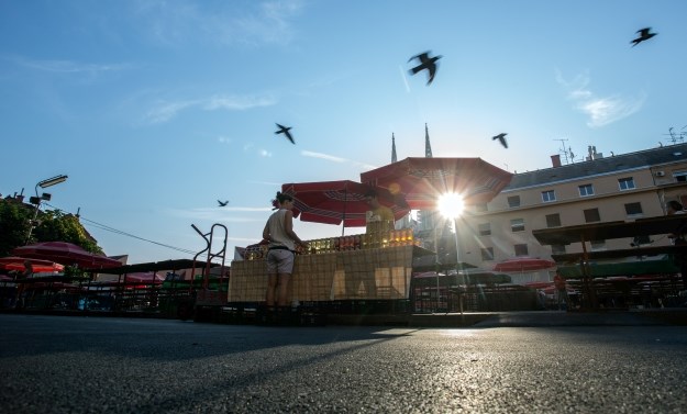 Opet je otvorena najpoznatija zagrebačka tržnica: Pogledajte fotografije Dolca