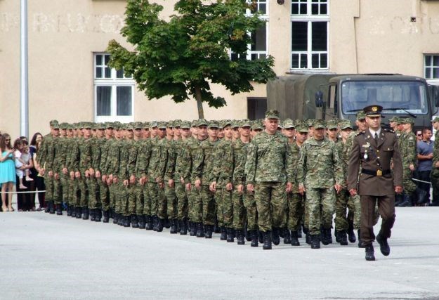 Hrvatski i slovenski vojnici održali zajedničku vojnu vježbu