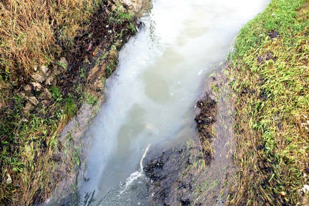Onečišćen Vuger u Sesvetama: Bijela tekućina prostire se preko kilometar i pol potoka