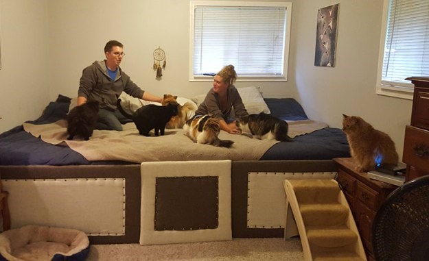 Domišljati vlasnici napravili gigantski krevet za sebe i svojih 7 ljubimaca