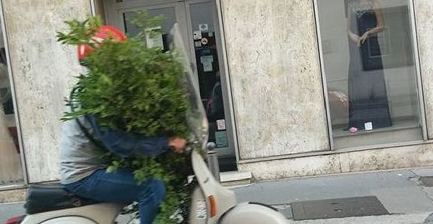 VIDEO Riječanin na motoru provozao stablo pa postao hit na Fejsu: Ma kako vozi s tim pred nosom?!