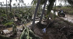 UPOZORENJE Crvena palmina pipa je "globalna prijetnja"