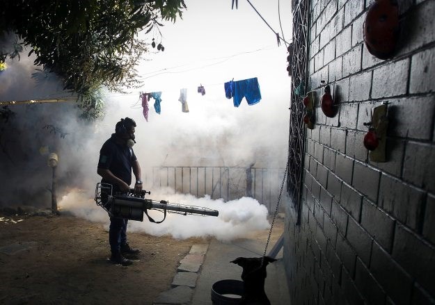 Brazil angažirao 220 tisuća vojnika za borbu protiv komaraca koji prenose zika virusa