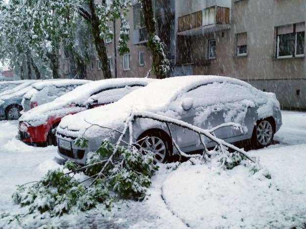 Snijeg paralizirao Sloveniju: Deseci tisuća bez struje