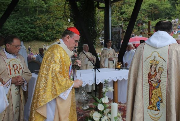 Kardinal Bozanić na današnjoj misi poručio vjernicima da izađu na birališta