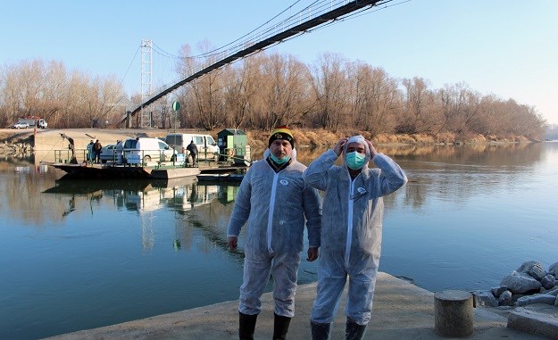 Kod Velike Gorice zabilježen novi slučaj ptičje gripe
