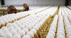 SKANDAL U EU S polica trgovina se povlače jaja puna zabranjenog pesticida