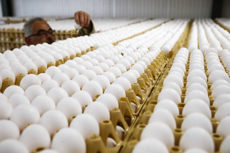 SKANDAL U EU S polica trgovina se povlače jaja puna zabranjenog pesticida