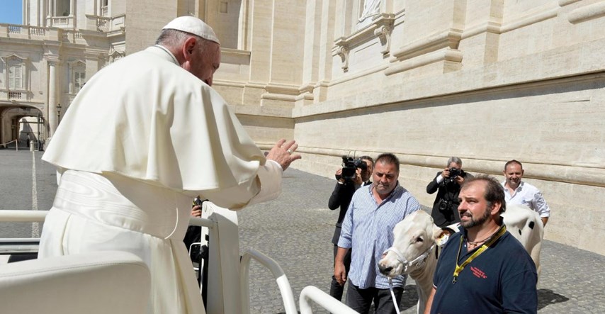 Papa dobio kravu na poklon