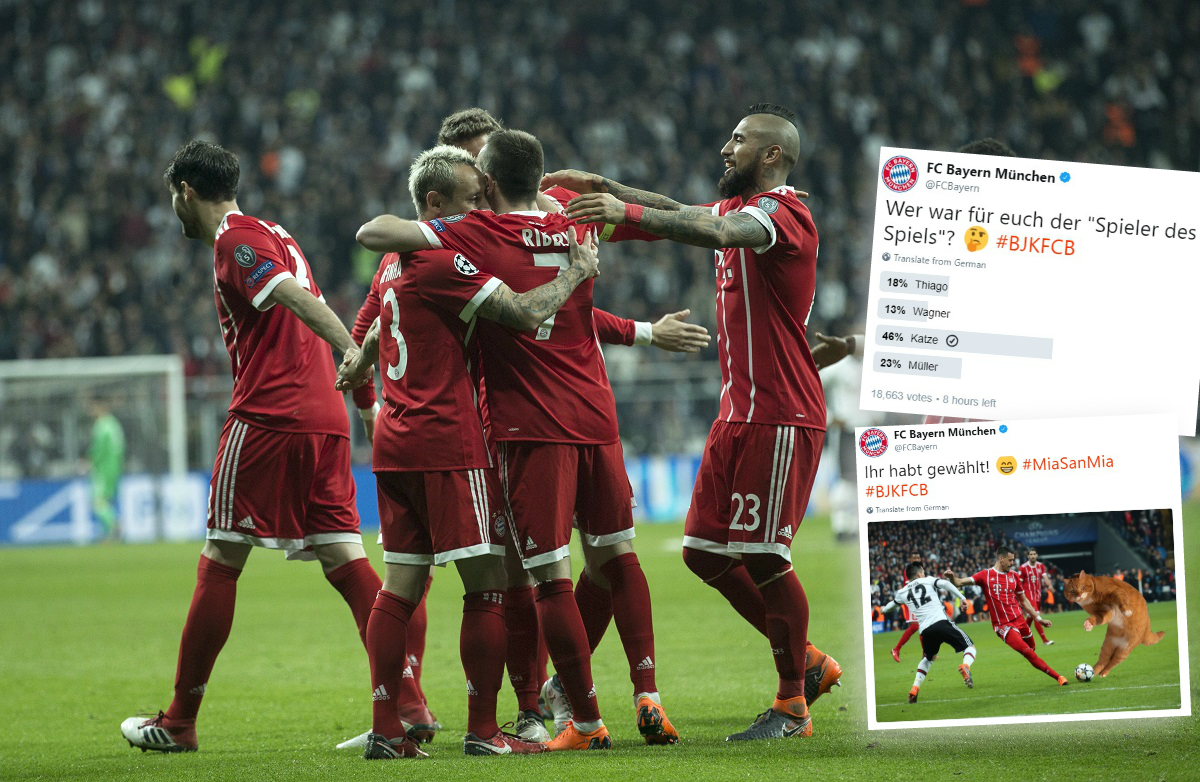 Igrač utakmice Bayern - Bešiktaš je mačak
