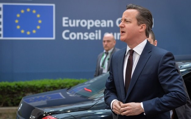 Cameron će sa strankom razgovarati o strategiji za EU