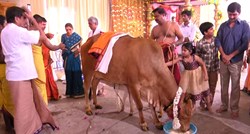Grupa Indijaca nasmrt pretukla farmera jer je prevozio krave