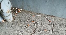 FOTO Pored dječjeg igrališta u Zagrebu ostavili hrpu narkomanskih šprica