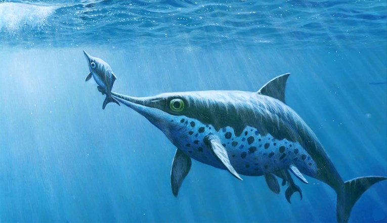 U Indiji pronađen morski monstrum star 150 milijuna godina