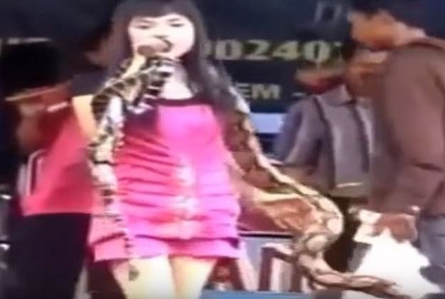 VIDEO Pop zvijezdu usred koncerta ugrizla kobra: Pjevala je još 45 minuta pa preminula