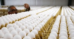 Iz prodaje se povlače jaja nizozemskog proizvođača