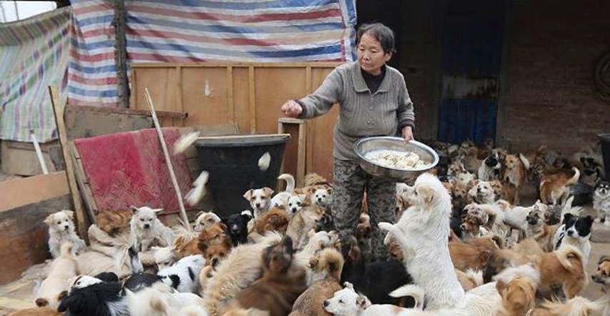 60-godišnja bakica u Kini brine za više od 1000 napuštenih pasa