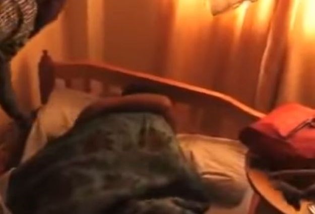 VIDEO Došao je doma i našao ženu u krevetu s drugim - a onda je ljubavniku zaglavio penis