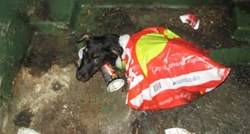Do kuda seže ljudska zloba: U kontejneru pronađena kujica sa zavezanim nogama