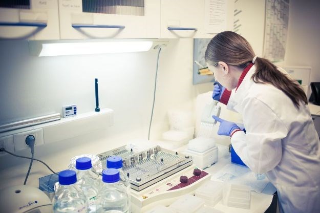 Od startupa do mete preuzimanja: Medilab preuzeo većinski udio u Genos DNA laboratoriju