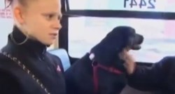 Hrabrost, nema što: Labradorica putuje sama autobusom do parka