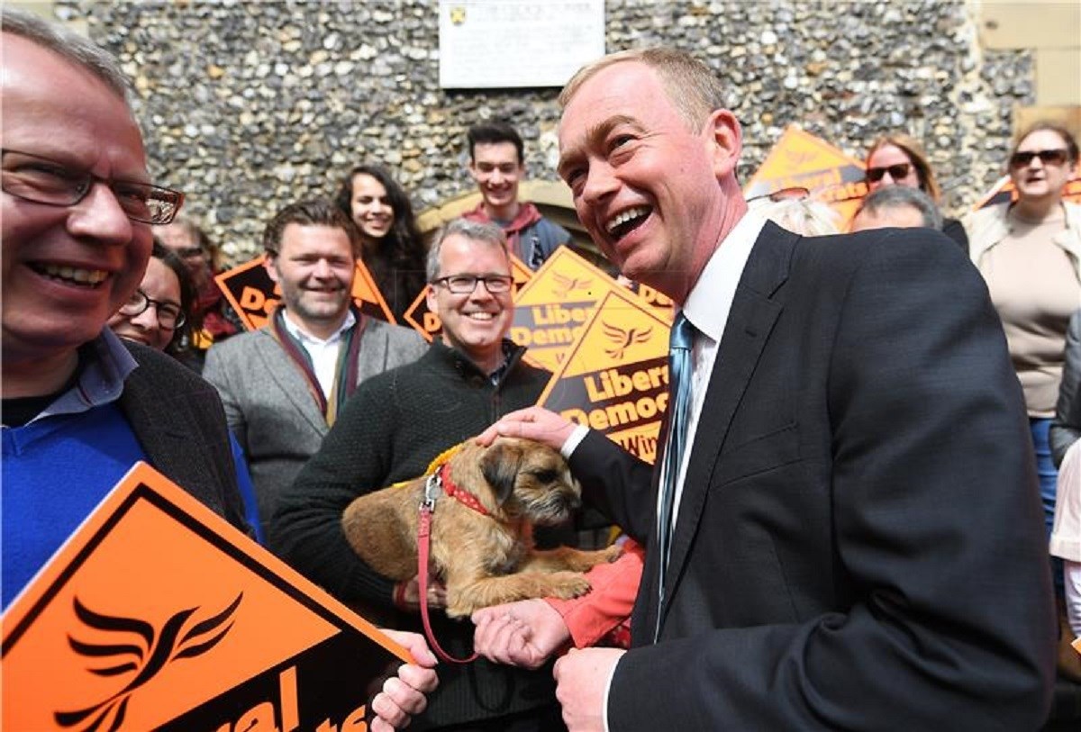 Liberalni demokrati sanjaju o EU dok najveću potporu imaju konzervativci