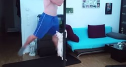 Ovo još niste vidjeli: Najcool mačka na svijetu pleše na šipci
