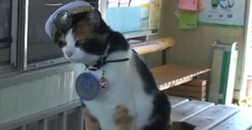 Zvijezda s pruge: Uginula mačka Tama koja je jednu japansku željezničku postaju spasila od bankrota