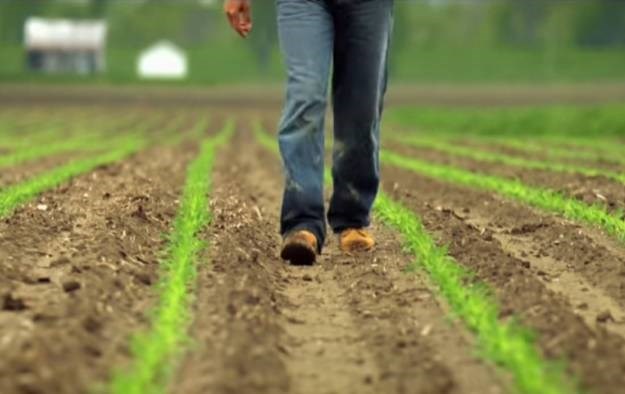 WHO: Monsantov herbicid "vjerojatno" izaziva rak