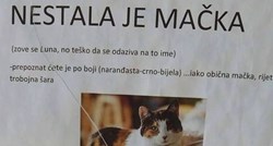 Traži macu preko najjačeg oglasa ikad: "Molim vas spasite i mačku i mene od sestre"