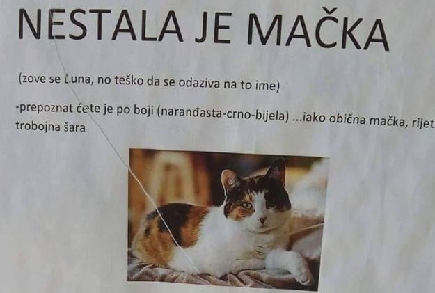 Traži macu preko najjačeg oglasa ikad: "Molim vas spasite i mačku i mene od sestre"