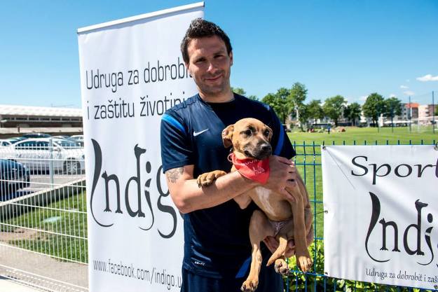 Slijedi prva Pseća olimpijada: Kampanja "Nogometne njuške" privodi se kraju
